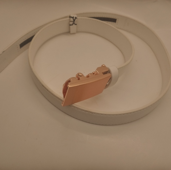 Mission Rose Gold Belt - Picture 4 of 12